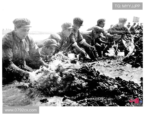 西安攀岩队的奋斗与荣耀：一段不屈不挠的攀岩之旅纪实